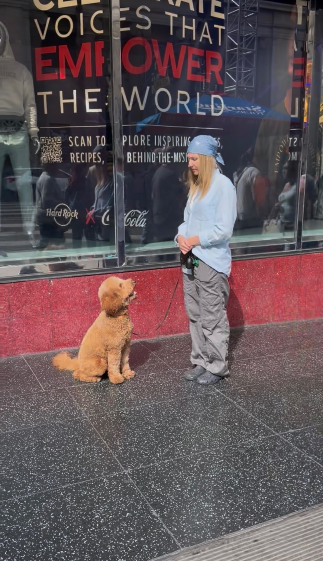 Standard Poodle holding a sit-stay in Times Square — real-world proofing