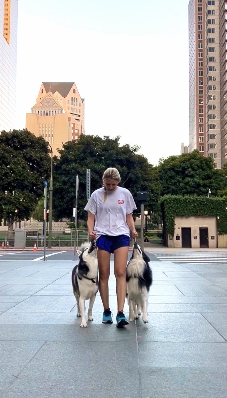 Two Huskies heeling through downtown Los Angeles