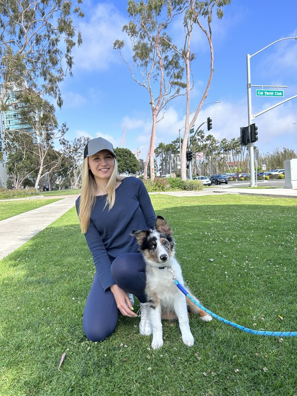 Border Collie puppy calm on-leash at the marina